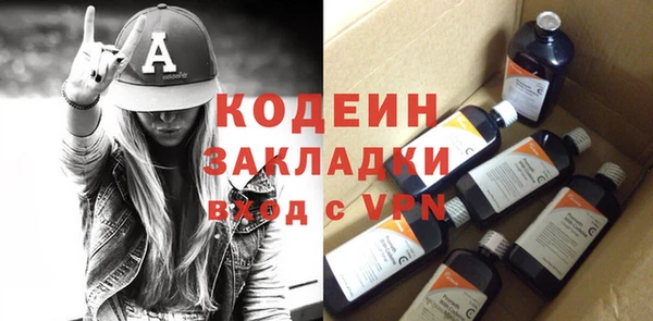 сатива Каменка