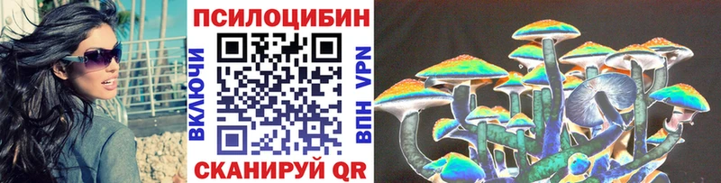 Купить закладки  Ртищево  Псилоцибиновые грибы мицелий 